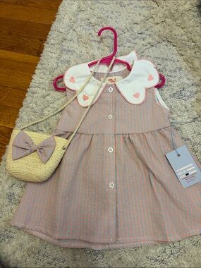 Daisy Pink and Blue Gingham Dress with Heart Collar